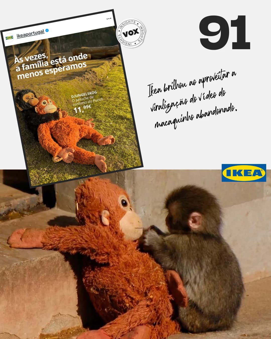 Daily Drop #91 de VOX insights